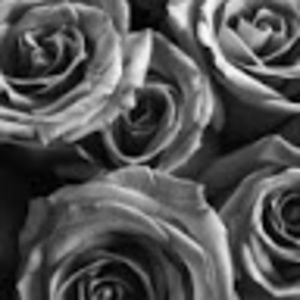 Meet your Posher, Kaylea